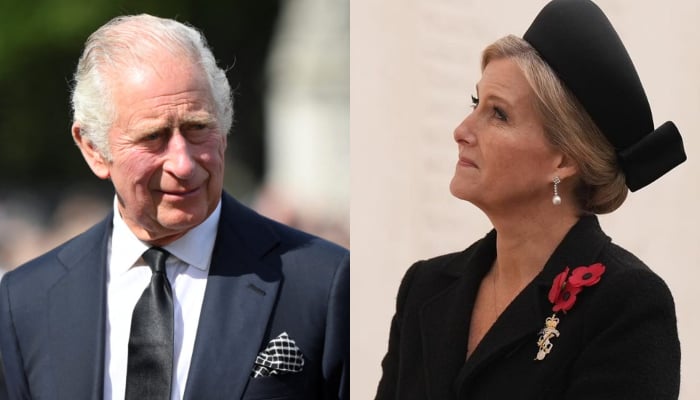 King Charles gives big responsibility to Duchess Sophie as Camilla falls ill Duchess Sophie takes on key royal duty as she returns to spotlight from head injury